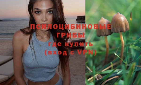 ешки Алексин