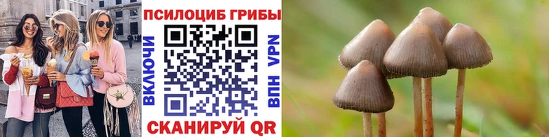 хочу   Закаменск  Псилоцибиновые грибы прущие грибы 